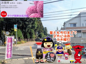 chibaken-cashless_banner_a_320x50