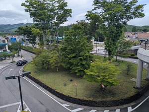 PXL_20250525_022015315