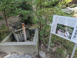 PXL_20250825_023856533