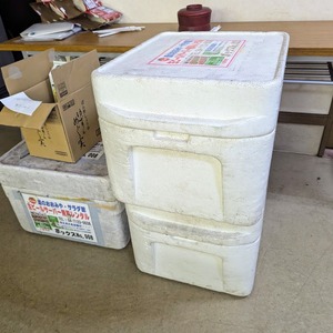 PXL_20240712_110752214