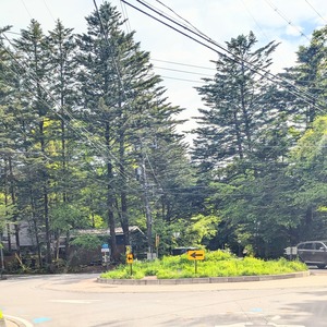 PXL_20250525_064405284~2