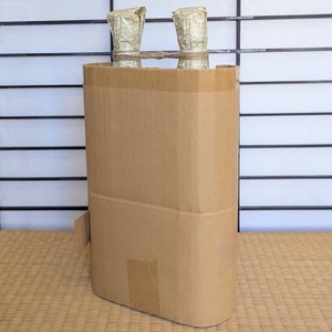 PXL_20251002_031736567