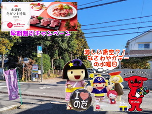 PXL_20231026_235923956