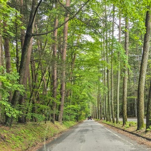 PXL_20250525_063511393~2