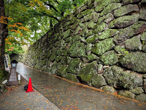 PXL_20251026_012243991~2