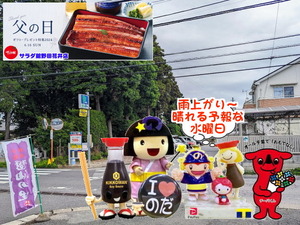 PXL_20231026_235923956