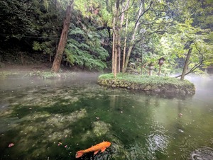 PXL_20250810_050150477~2