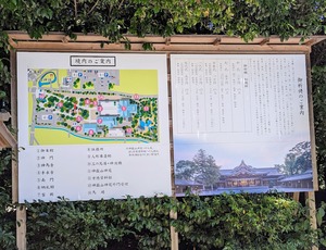 PXL_20230730_020831421