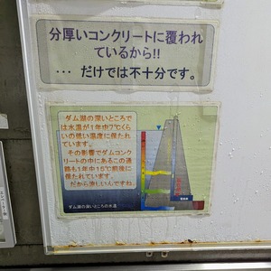 PXL_20230730_050300698