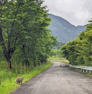 PXL_20240602_021417761