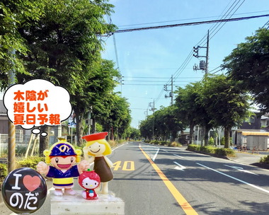 木陰が嬉しい野田市20170215