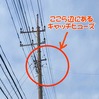 電柱のキャッチヒューズ