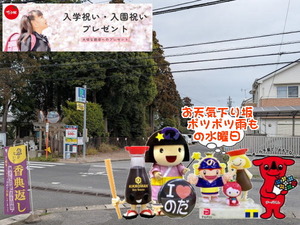 野田市の曇り空とゆるキャラの様子