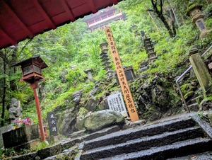 PXL_20250810_042909570~2