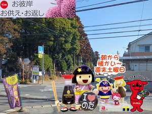 PXL_20240929_234446616