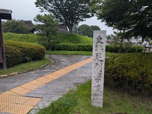 PXL_20240714_053927680