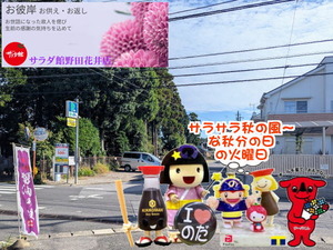 chibaken-cashless_banner_a_320x50