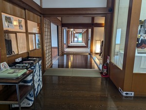 PXL_20240714_055700053