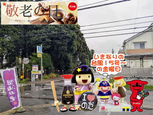 台風15号 野田市の様子