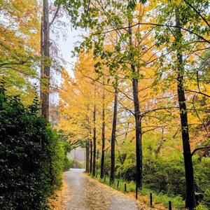 PXL_20251109_011734226~2