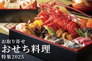 PXL_20241216_032534887.PORTRAIT