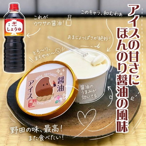 syouyu-ice2