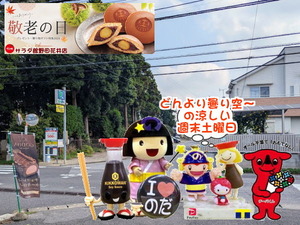 PXL_20240901_235710365