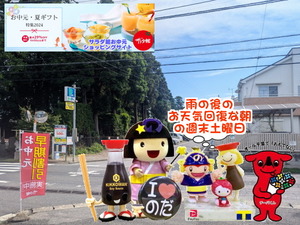 PXL_20231026_235923956