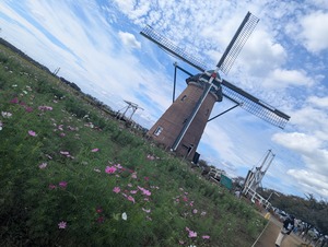 PXL_20251005_041855971