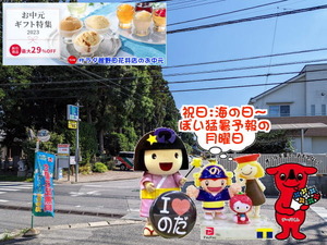 PXL_20230713_233327861