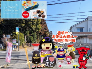 PXL_20231026_235923956