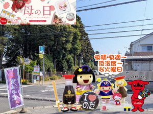 PXL_20240929_234446616