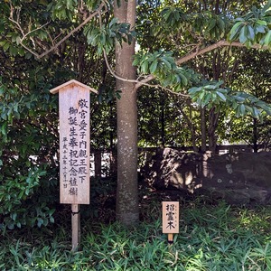 PXL_20230730_021323645