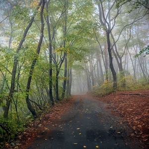 PXL_20251026_024341385~2