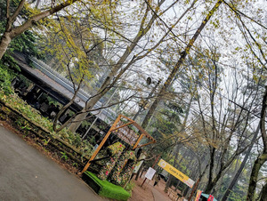 清水公園｜雨でもBBQ