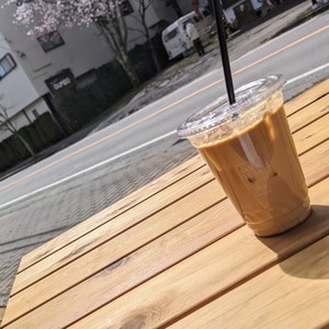 PXL_20230416_043133159