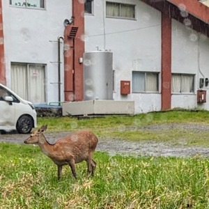 PXL_20240602_042904891