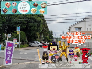 野田市|やっぱり梅雨明けはまだだ