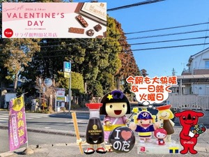 野田パワスポ|大快晴な火曜の朝の店頭