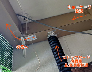 PXL_20250806_234412184-EDIT