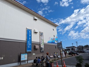 PXL_20231022_025025453