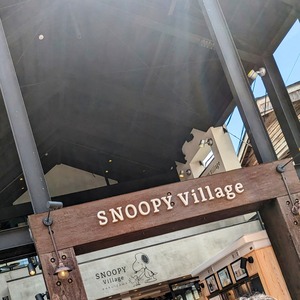 PXL_20230416_030805581~2