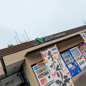 PXL_20251025_233749517~2