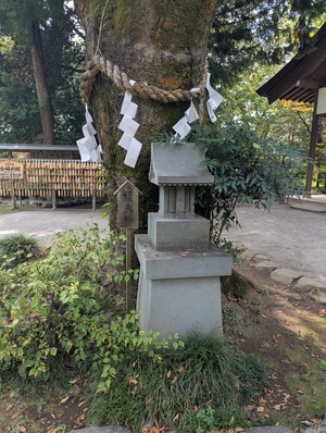 PXL_20250825_024020749