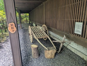 PXL_20250525_044351893~2