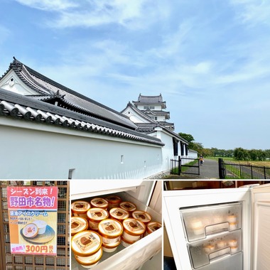 野田市名物・しょう油アイスって