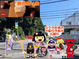 PXL_20240929_234446616