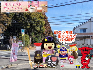 PXL_20231026_235923956