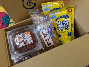 PXL_20230728_042511804.MP