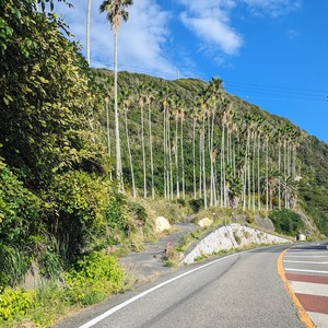 PXL_20231014_002553838